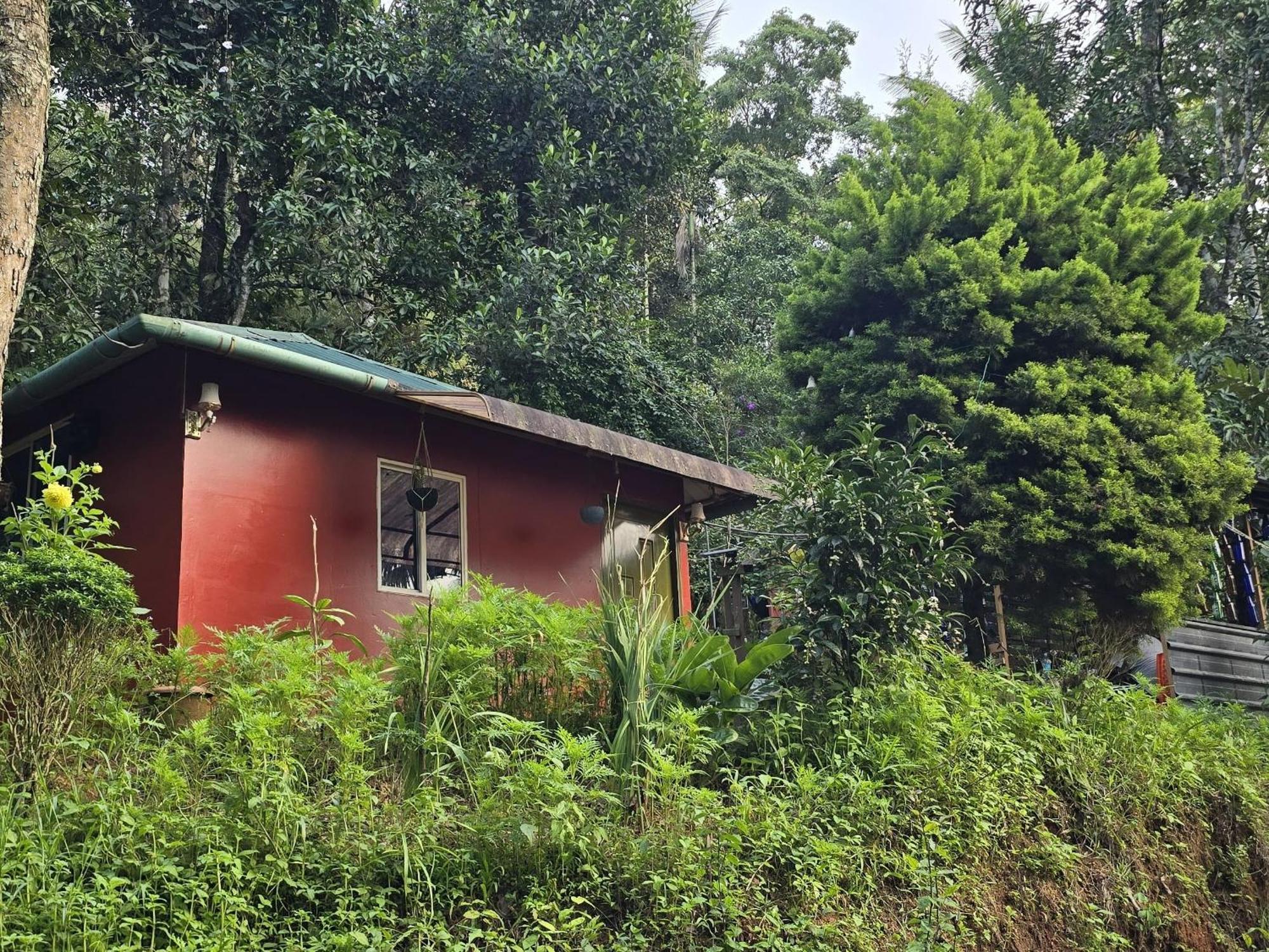 Pepper County Farm Stay ムンナル 部屋 写真